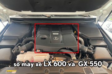 Vị trí số khung số máy trên các mẫu xe Lexus